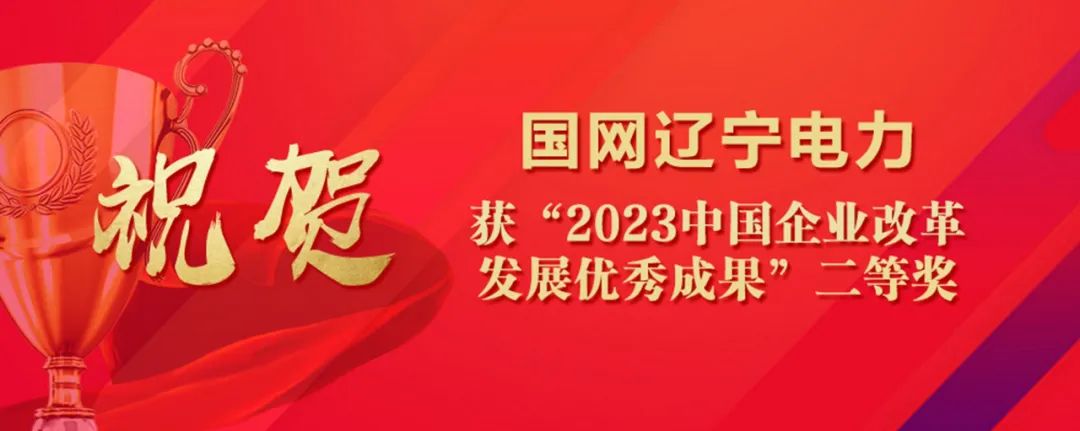 祝賀！國網(wǎng)遼寧電力智慧稅務(wù)成果獲“中國企業(yè)改革發(fā)展優(yōu)秀成果”